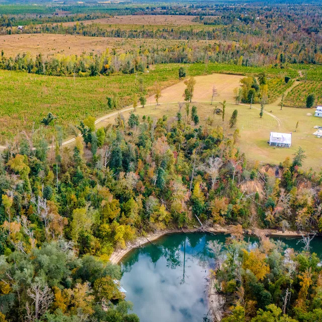 New forest planted on private farmland