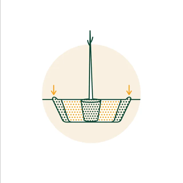 illustration fill hole