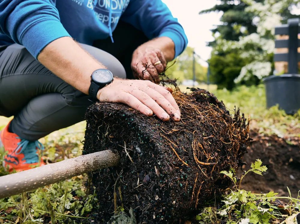 bare root planting hands