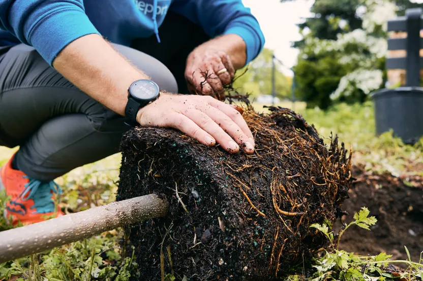 bare root planting hands
