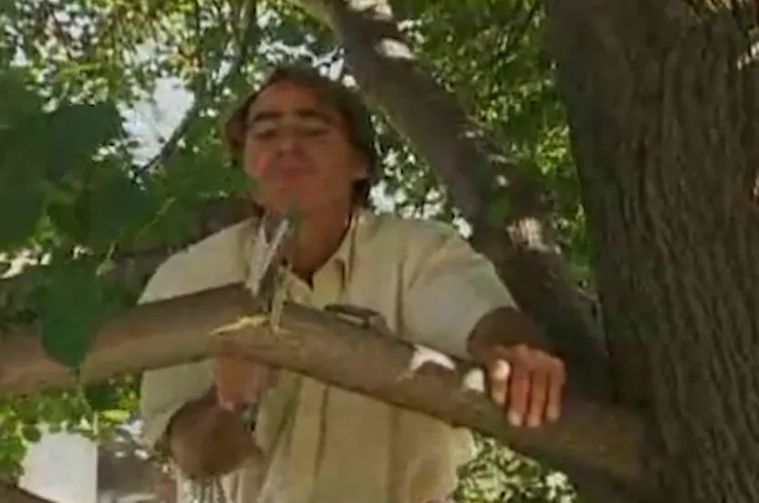 Man cutting down a tree branch.