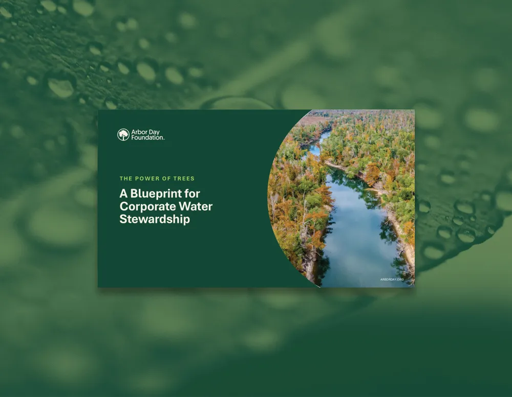 A serene river surrounded by colorful trees, with text promoting corporate water stewardship by the Arbor Day Foundation.