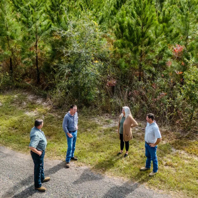 Four people converse on a dirt road surrounded by lush pine trees, sharing ideas in a natural setting.