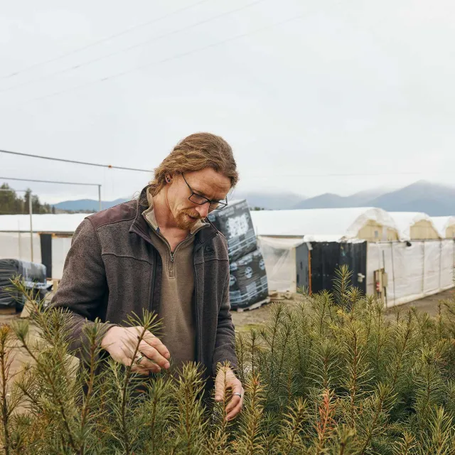 A person with long hair and glasses, wearing a brown jacket, examines plants in a nursery. Tents are in the background under an overcast sky.